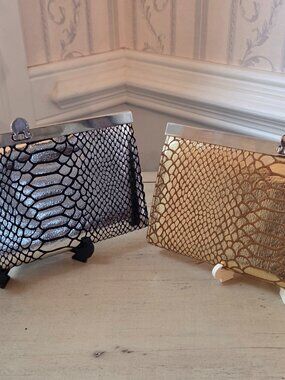 Evening Clutch in Silver and Gold